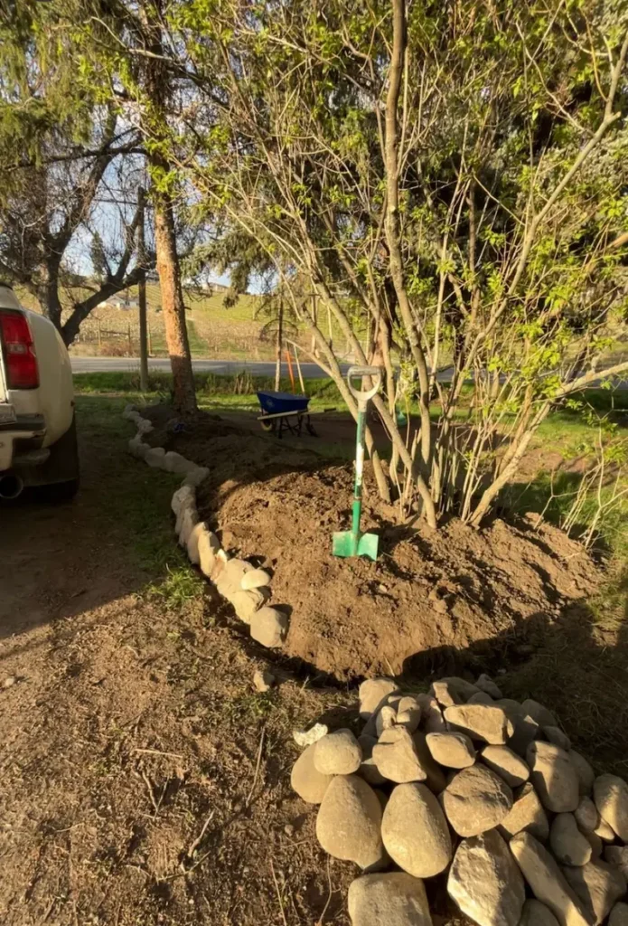 Natural rock retaining border and soil prep around a tree in a residential yard, Kelowna, BC