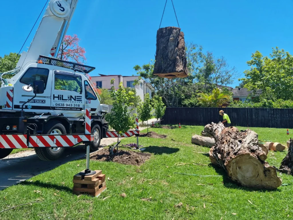 Tree stump removal work being completed on a residential property