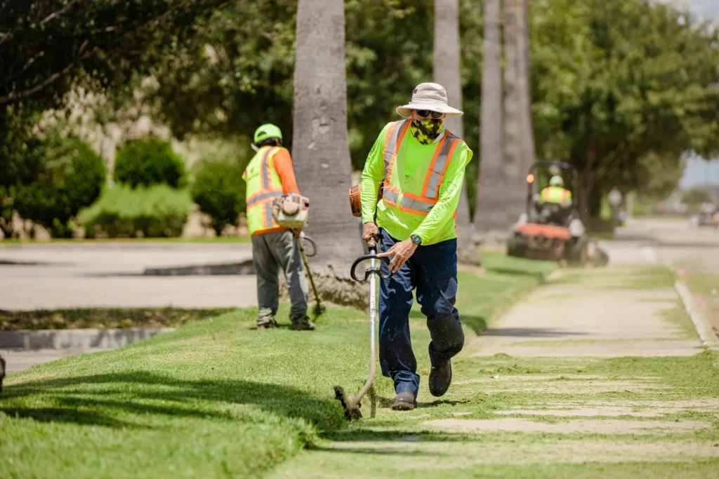 Professional landscaping services in Kelowna – lawn care and outdoor space maintenance by TNT Kelowna