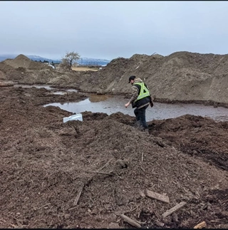 Worker managing mulch windrows at TNT Kelowna’s yard—on-site grinding and screening of brush and logs.